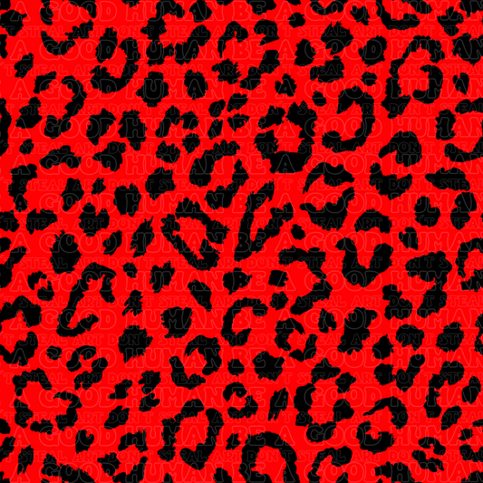 Leopard 11