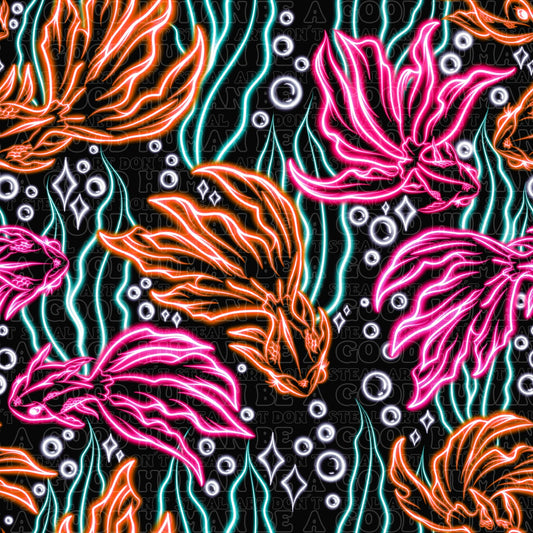 Bright Beta fish