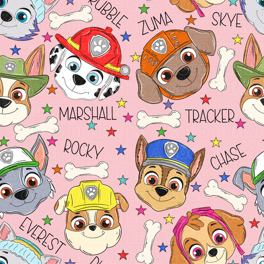 Paw Patrol 122