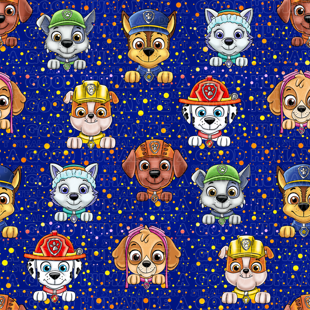 Paw Patrol 107