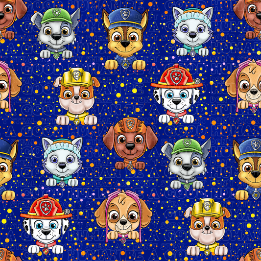 Paw Patrol 107