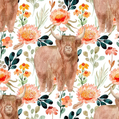 Farm animals highland cows 18