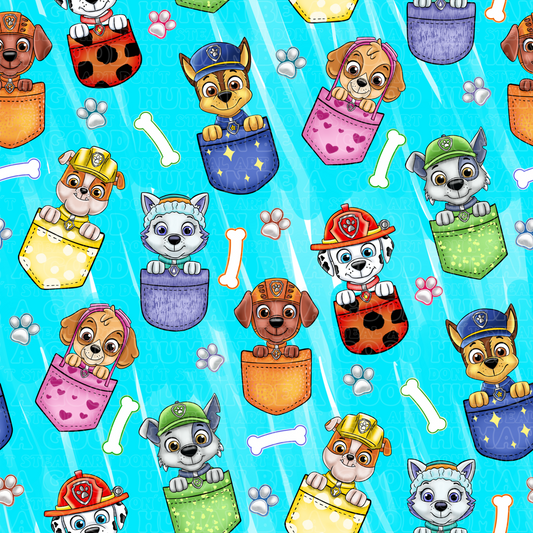 Paw Patrol 114