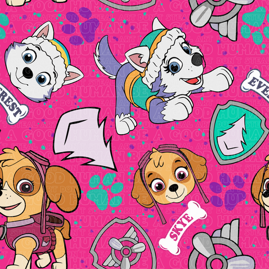 Paw Patrol 4 Sky Everest