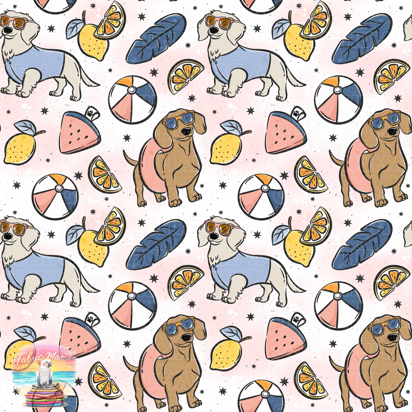 Cat and Dog - 156