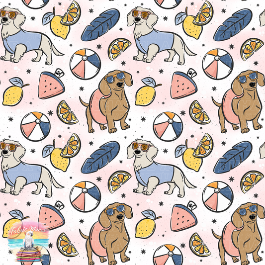 Cat and Dog - 156