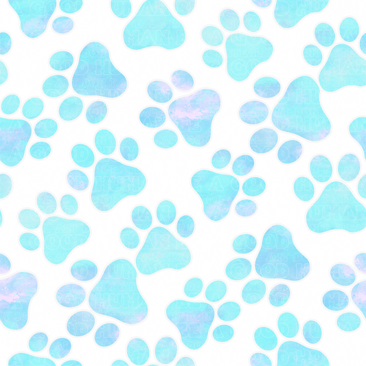 Paw Patrol 36 coordinate paws