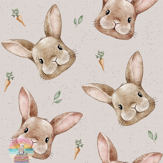 Animals - 037
