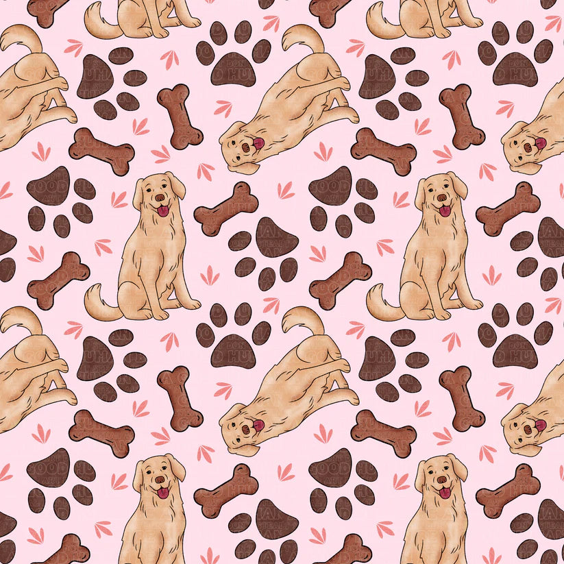 Cat and Dog - 006
