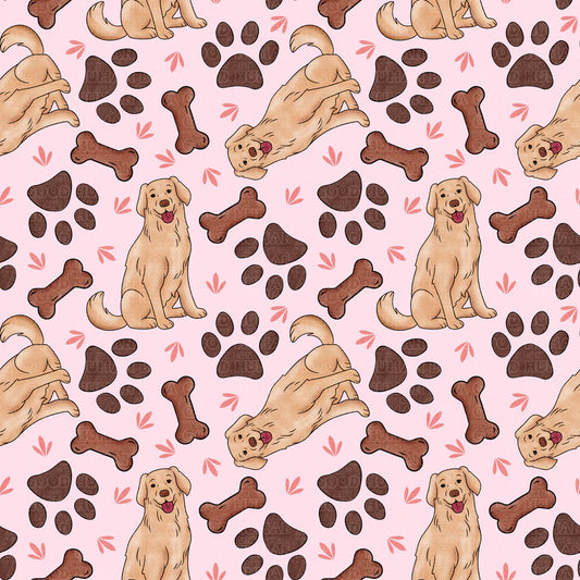 Cat and Dog - 006