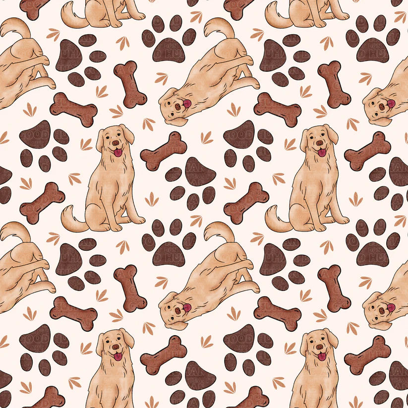 Cat and Dog - 005