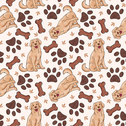 Cat and Dog - 005