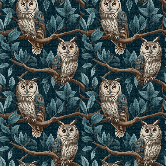 Birds 009