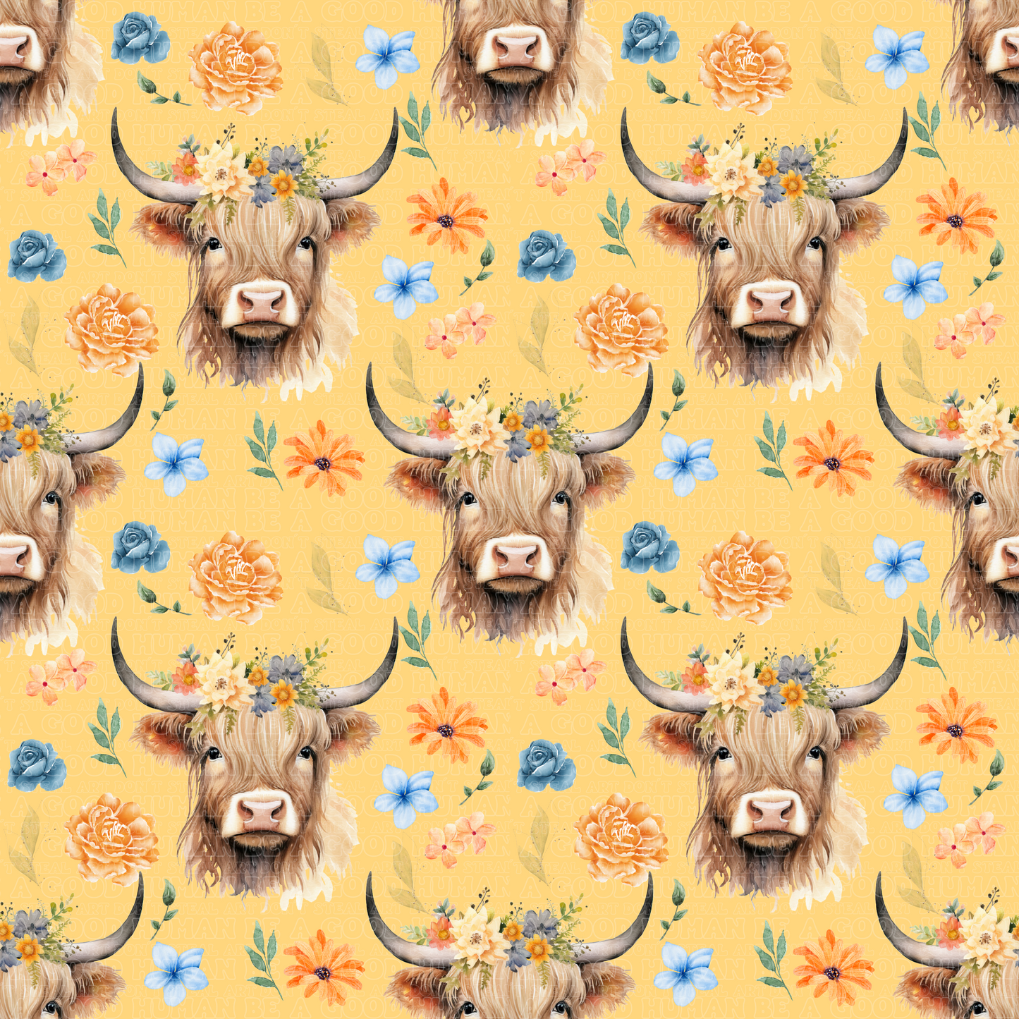 Farm animals highland cows 6