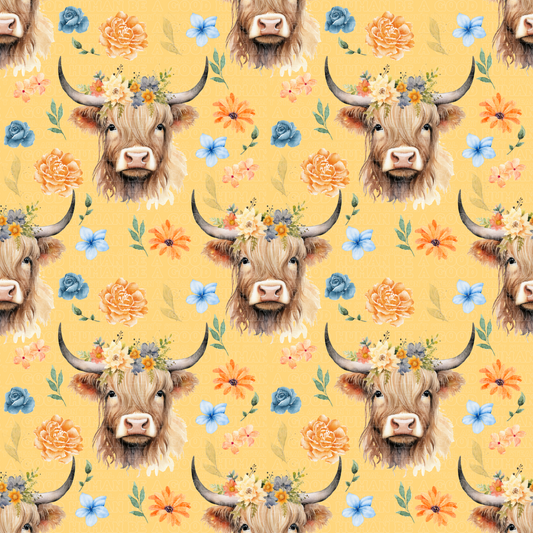 Farm animals highland cows 6