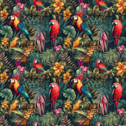 Birds 052
