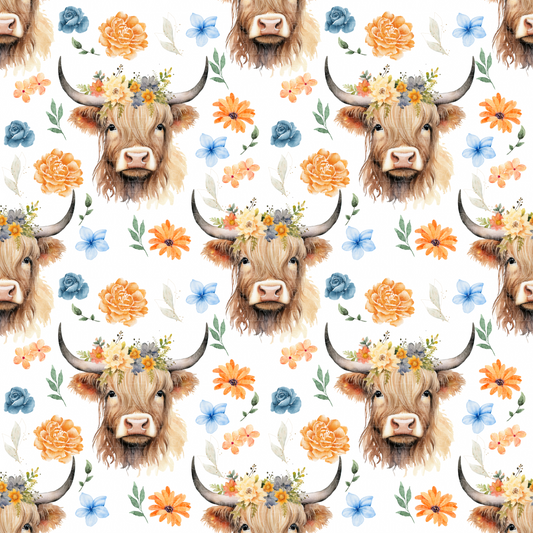 Farm animals highland cows 5