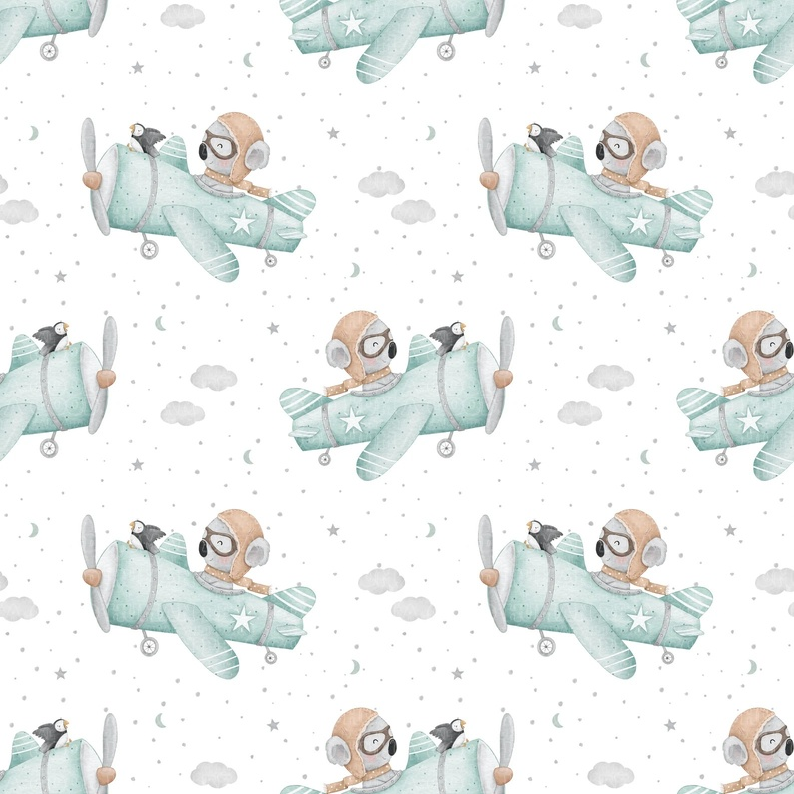 Koala 6