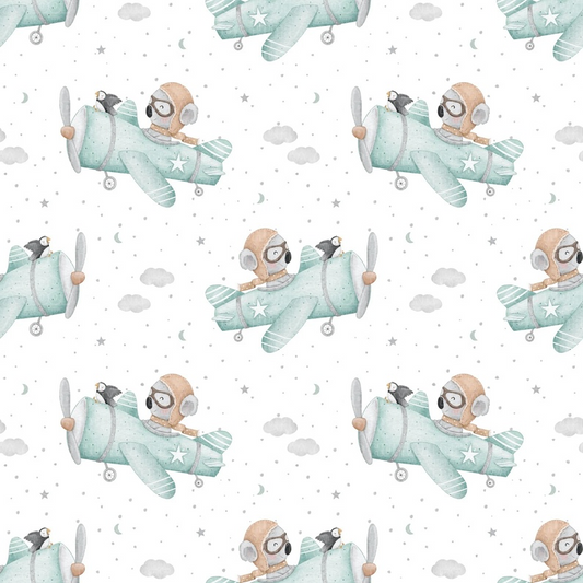 Koala 6