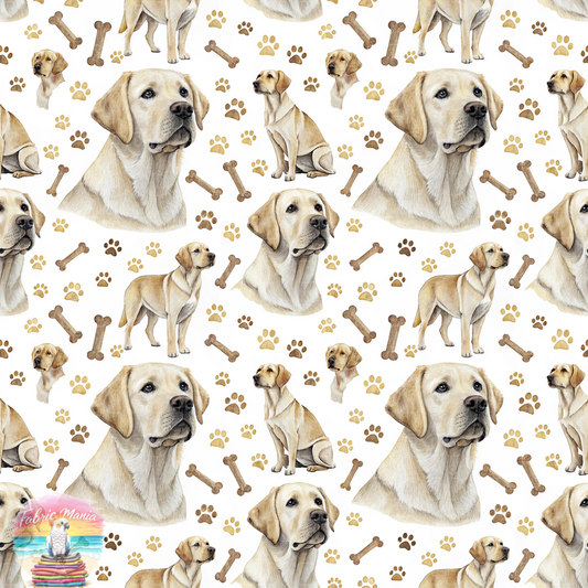 Cat and Dog - 153