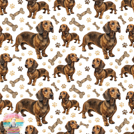 Cat and Dog - 154