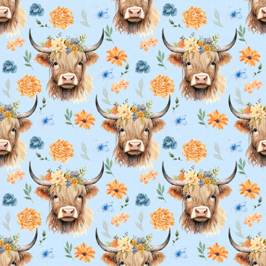 Farm animals highland cows 4