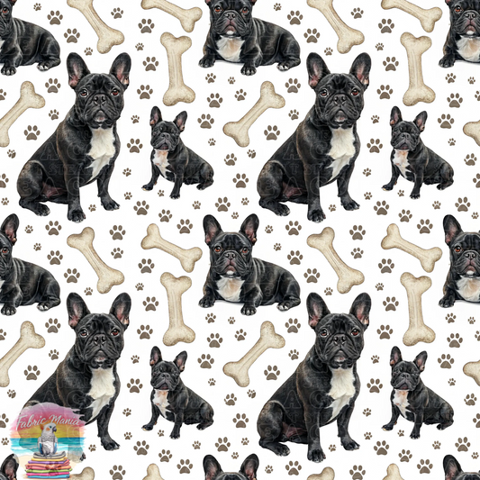 Cat and Dog - 148