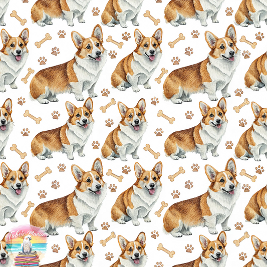 Cat and Dog - 151