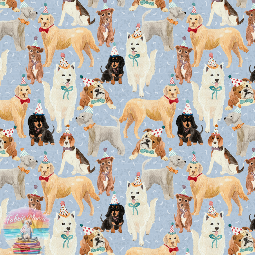 Cat and Dog - 158