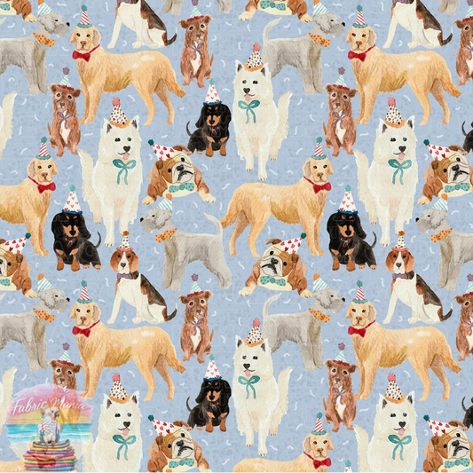 Cat and Dog - 158