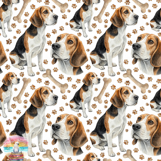 Cat and Dog - 152