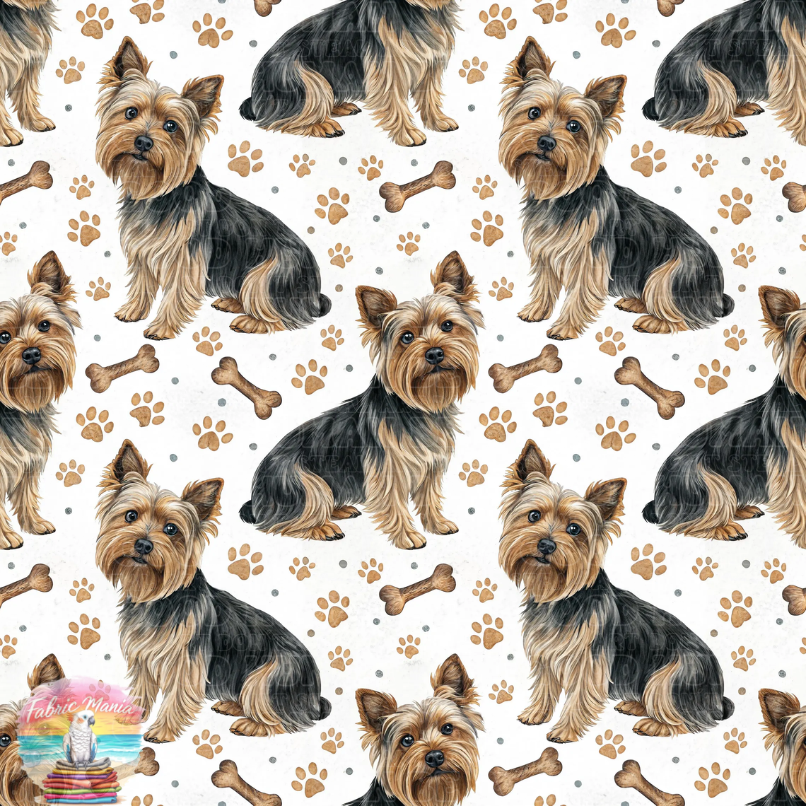 Cat and Dog - 141
