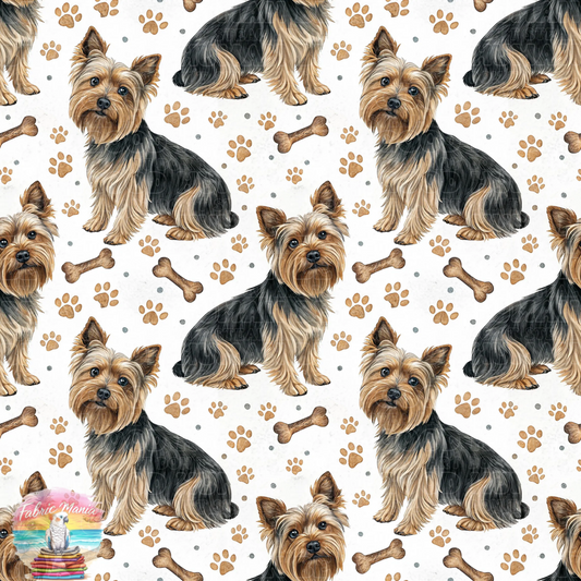 Cat and Dog - 141