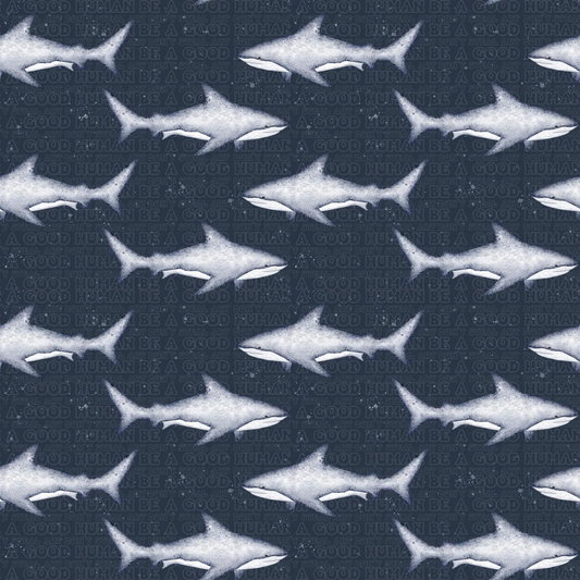 Animals shark dark