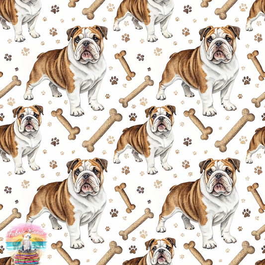 Cat and Dog - 145
