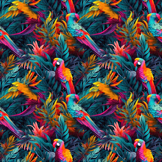 Birds 049