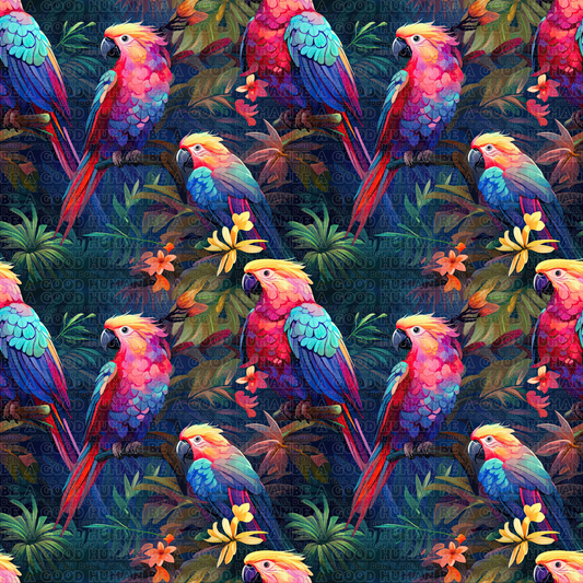 Birds 020