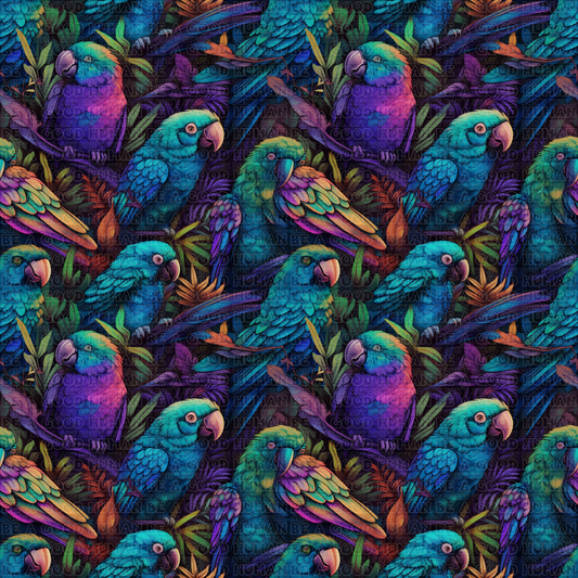 Birds 055