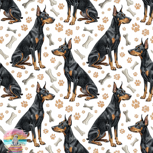 Cat and Dog - 155