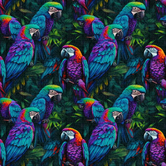 Birds 054