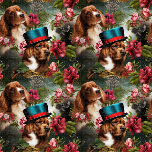 Cats & Dogs 038