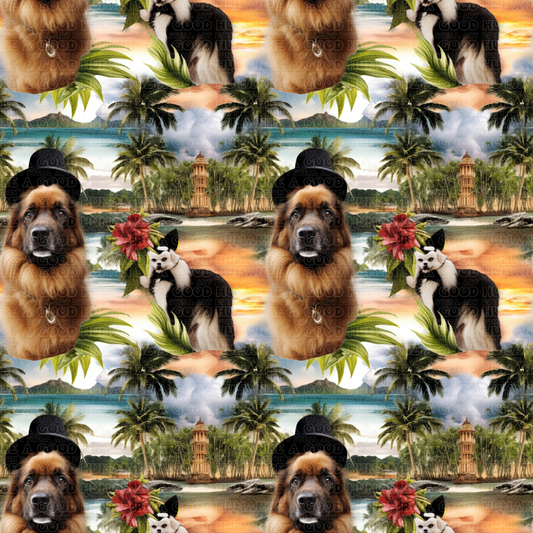 Cats & Dogs 037