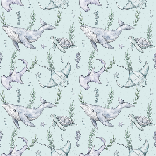 Animals sea