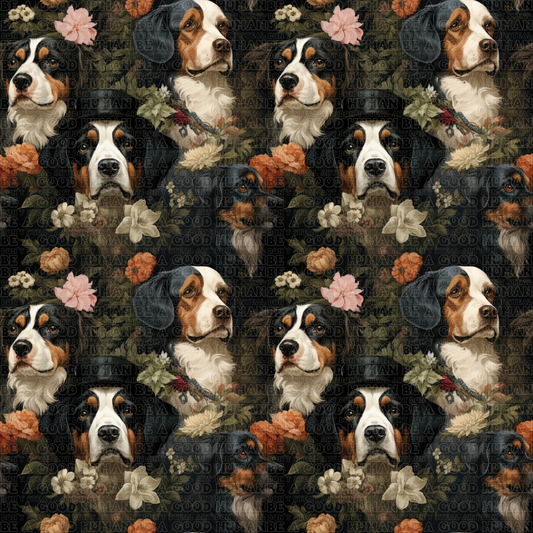 Cats & Dogs 036