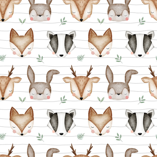 Animals woodland