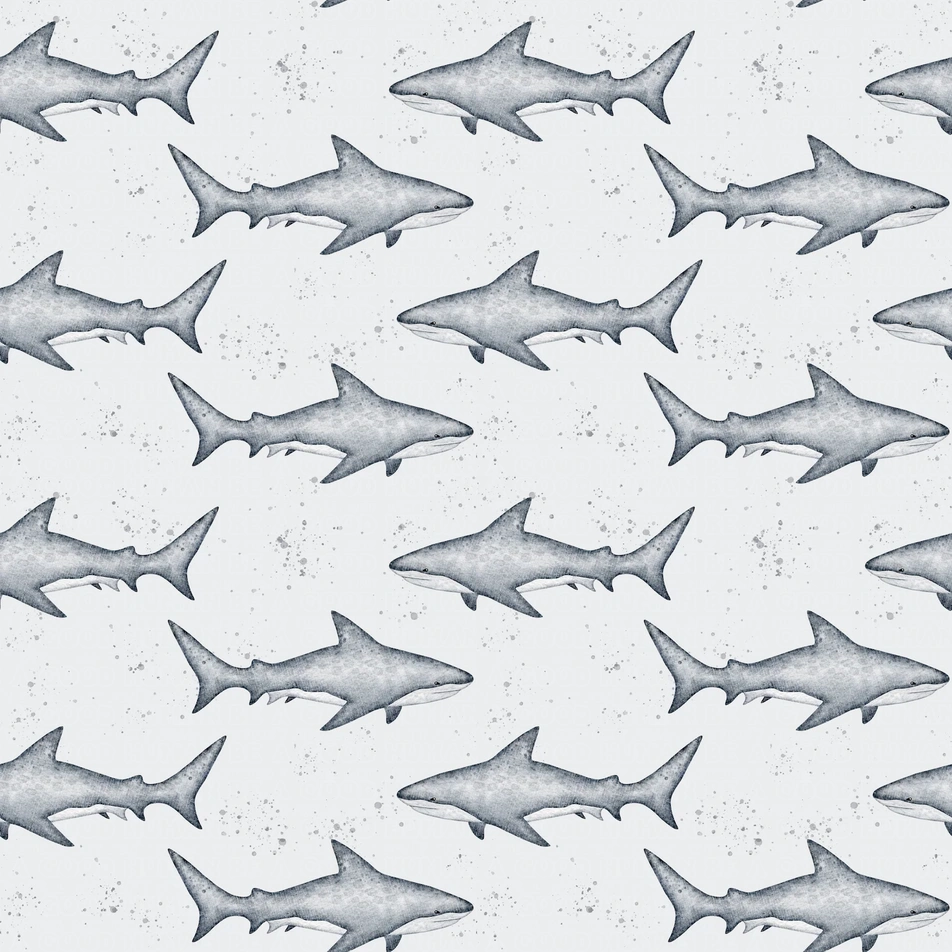 Animals sharks