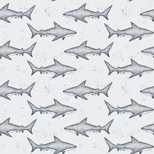 Animals sharks