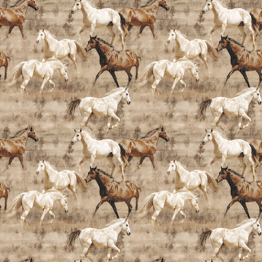 Western - 068
