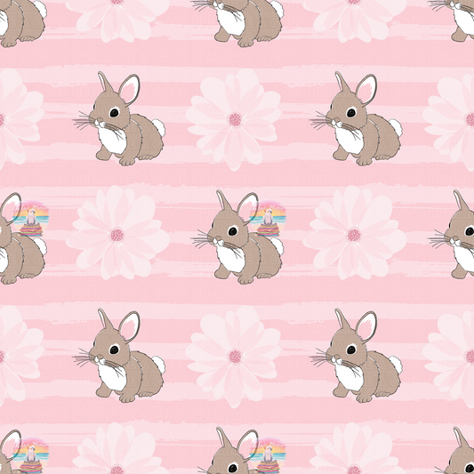 Animals - 043