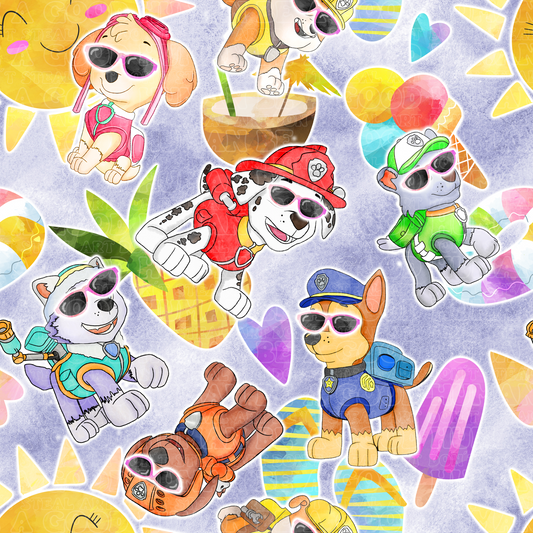 Paw Patrol 9 summer